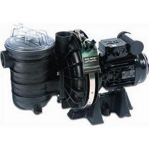 Sta-Rite 5P2R Swimming Pool Pump - World of Pools