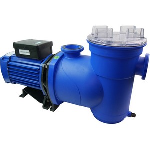 Argonaut Swimming Pool Pump - World of Pools