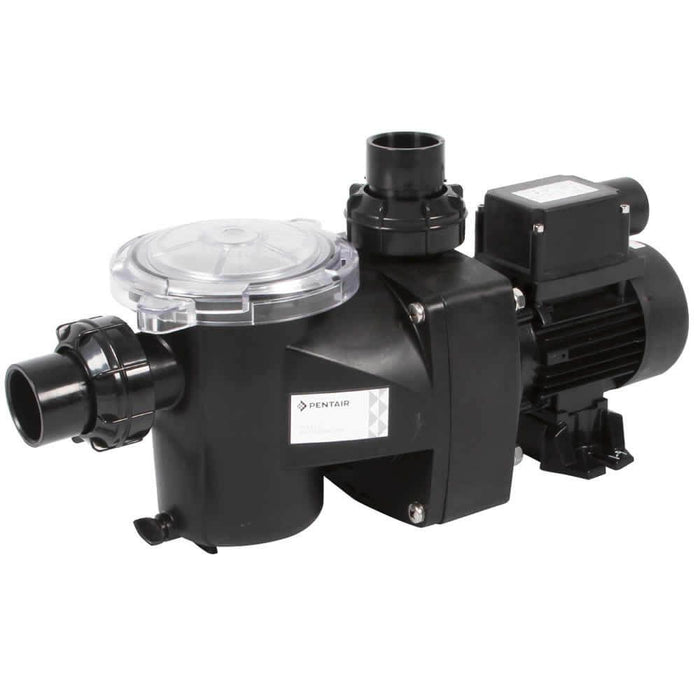 Pentair Freeflo / Swimmey Swimming Pool Pump