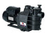 Hayward Superpool pump (Inground Pools)