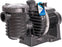 Sta-Rite 5P6R Pool Pump