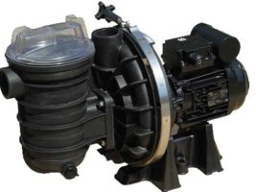 Sta-Rite 5P2R Swimming Pool Pump